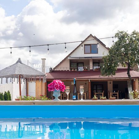 Hotel Vila Crisalia Sibiel -Sibiu (Adults Only) Zewnętrze zdjęcie