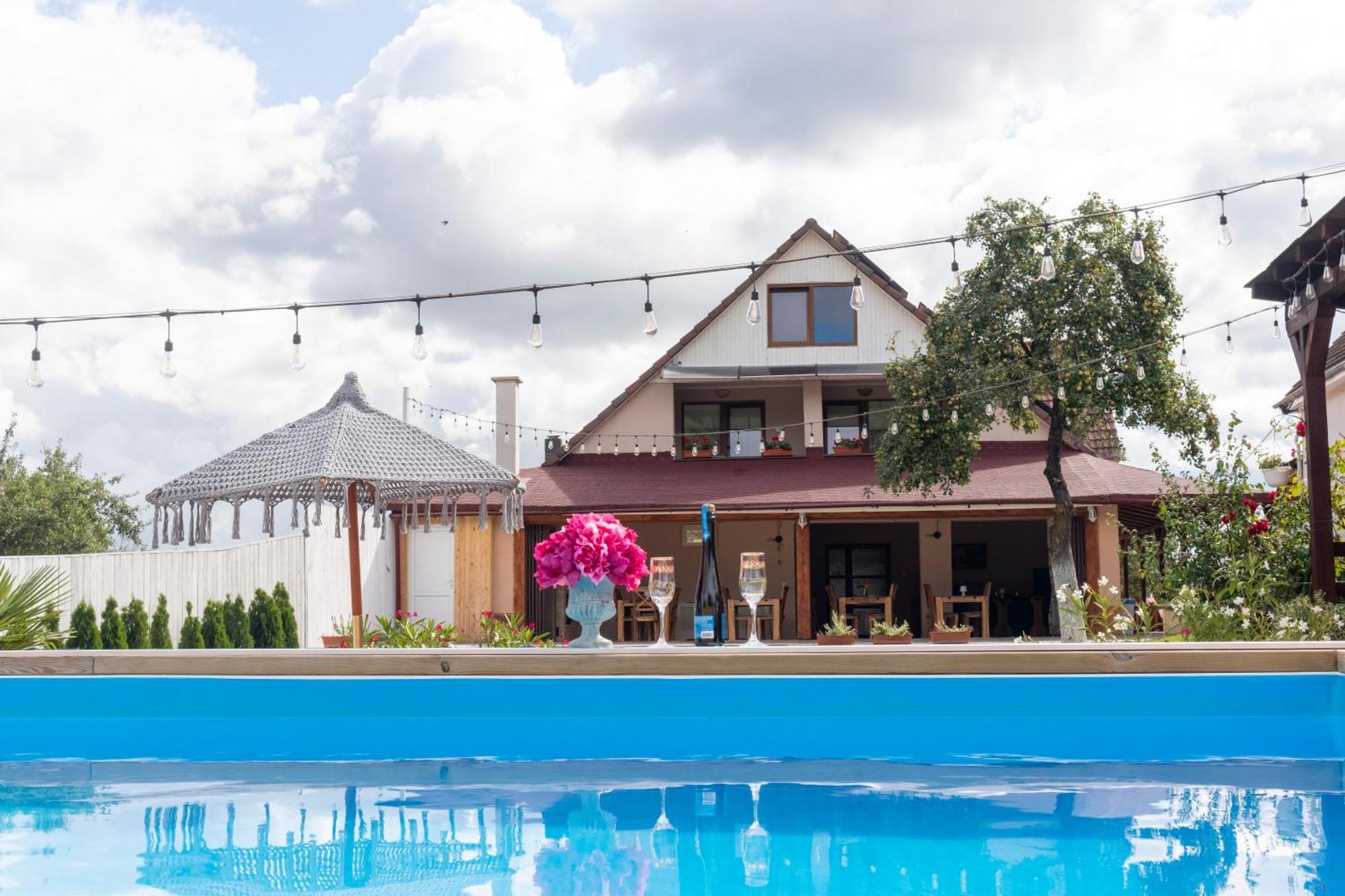 Hotel Vila Crisalia Sibiel -Sibiu (Adults Only) Zewnętrze zdjęcie